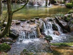 -牛背梁国家森林公园