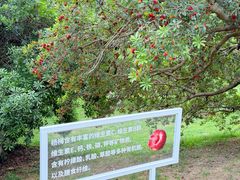 -龙寺生态园