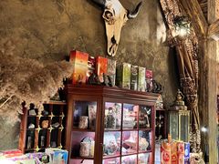 -雪灵魔法世界SHELLY’S TAROT(大良桂畔里店)