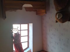 -金山农民画村-枫泾波兰倒置屋