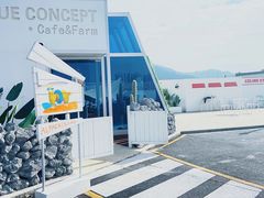-Blue Concept Cafe&Farm·關於藍
