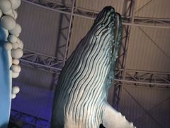 -烟台海昌鲸鲨海洋公园