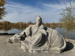 -金塔沙漠胡杨林景区