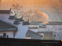 -塔川景区