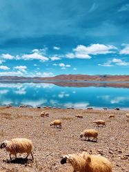 -Oasis Beauty水磨坊科技美肤中心