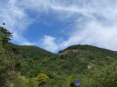 -北京西山国家森林公园