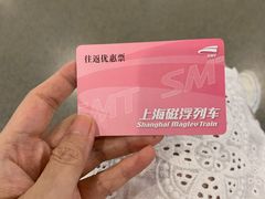 -龙阳路磁悬浮列车总站-停车场