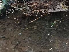 -滴水岩森林公园