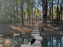 -上海山野camping·户外天幕烧烤·团建拓展营地