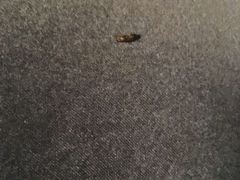 -扬子岛酒店(重庆洪崖洞解放碑店)