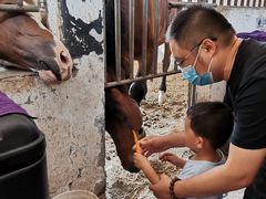 -月河湾马术俱乐部(朝阳店)