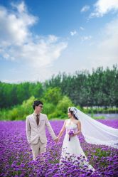 点击看大图 ZYG_0810 拷贝-戛纳印象摄影(潮拍定制馆)