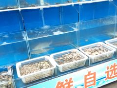 水产区-鼓歌海鲜舫·手抓海鲜(大学城店)