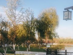 -西海子公园