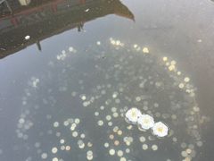 -开福禅寺