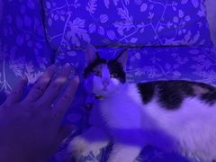 海妖酒吧-Sirena海妖日咖夜酒