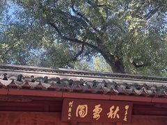 -秋霞圃