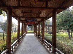 -山湖温泉
