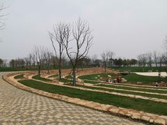 -盘龙城国家考古遗址公园