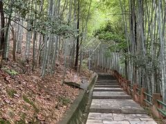 -敬亭山风景名胜区