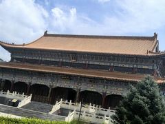-药王庙(安国市)