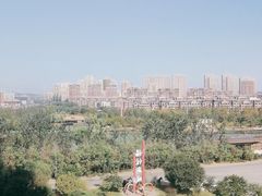 -前关湿地公园