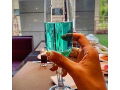 -廊坊固安福朋喜来登酒店