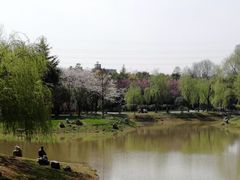 -堤角公园