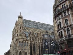 -斯蒂芬主教座堂(Stephansdom)