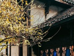 -胡雪岩故居