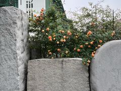 -杭州观成实验学校