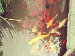 -聚缘堂·海鲜私房菜(松岭路店)