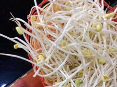-崔记老东北传奇铁锅炖(横店总店)