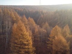 -塞罕坝国家级自然保护区