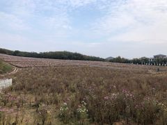 -大连铭湖国际观光牧场
