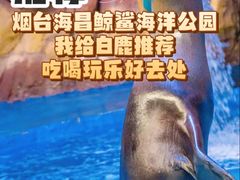 -烟台海昌鲸鲨海洋公园