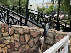 -J Create城市露营咖啡·简餐·宠物(上海动物园店)