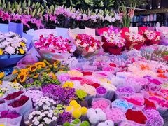 -朝来春花卉市场