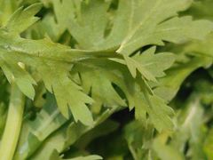 -草原塞蛮羊火锅城(港湾店)