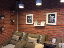 -素颜秀半永久纹眉纹眼线