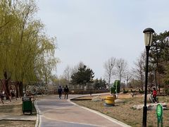 -羊亭河湿地公园