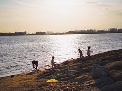 -台场海滨公园船码头