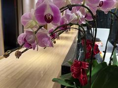 -富淳饭店(陆家嘴保利广场店)