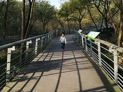 -西湖风景区-江洋畈生态公园