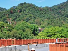 -佛山市三水区大南山森林公园