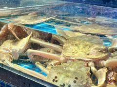 -吉友粥底火锅(方斜路店)