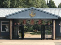 -北京麋鹿生态实验中心