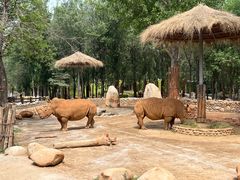 -北京野生动物园