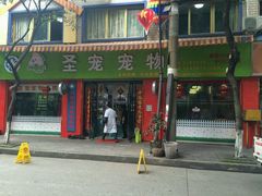 -圣宠宠物酒店(泸州江阳西路店)