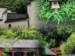 -深圳国际园林花卉博览园